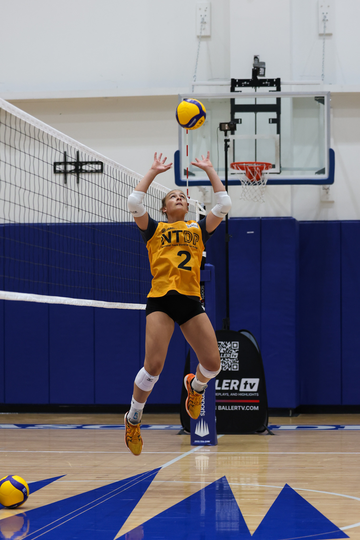 Has USA Volleyball tabbed Brady Collins the "Next Big Thing"