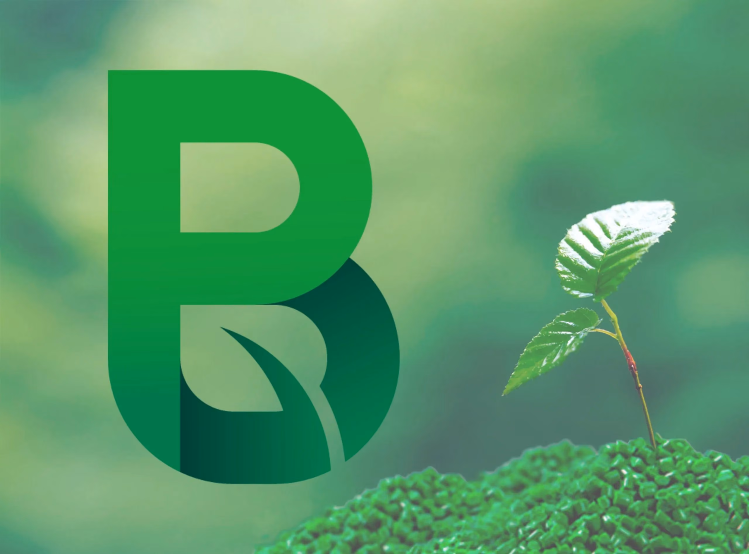 International Seminar on Biopolymers & Sustainable Composites Seminar