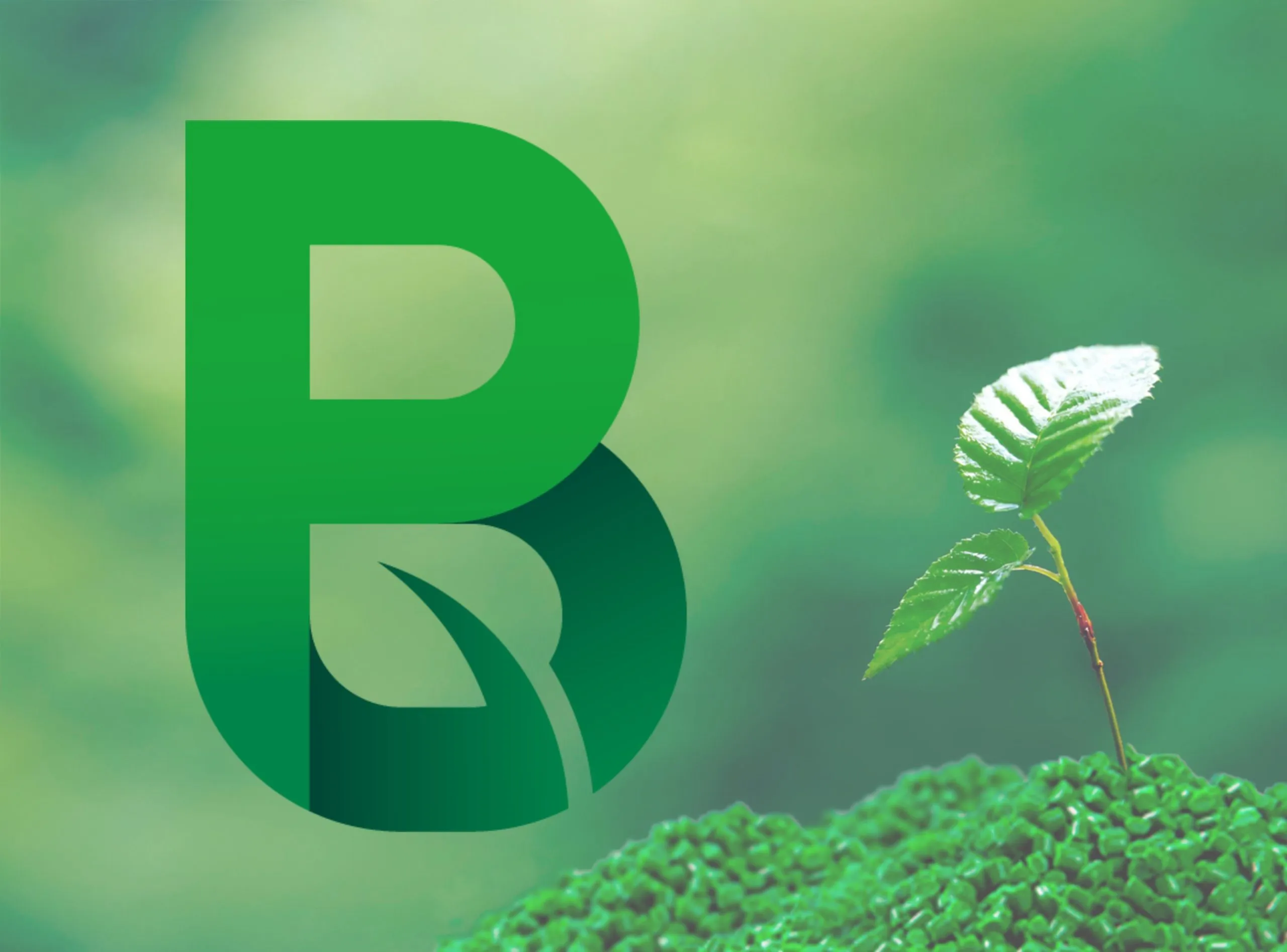 International Seminar on Biopolymers & Sustainable Composites Seminar