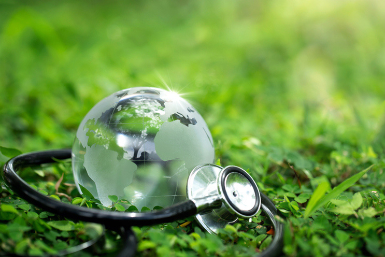Biodiversité, alimentation, santé : et si c'était le même sujet ?