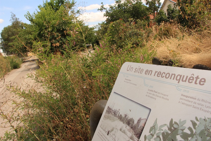 Aménagement du territoire : et si l'écologie n'était plus une couche ajoutée après coup ?