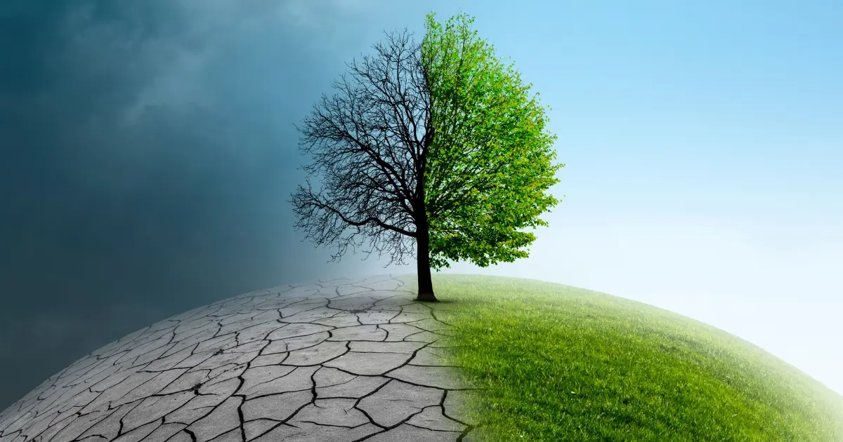 Adaptation au changement climatique : de l'optimisation à la robustesse