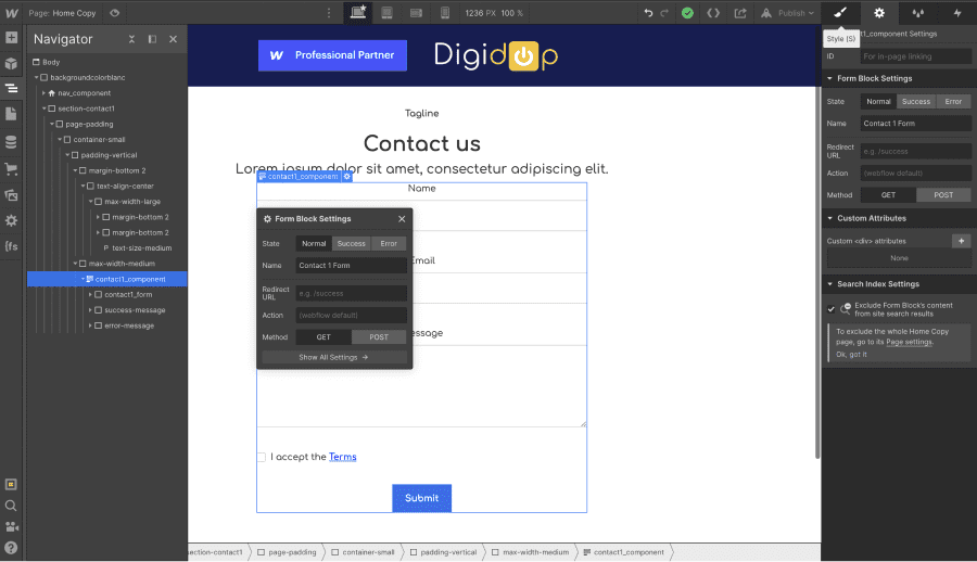 Webflow form settings