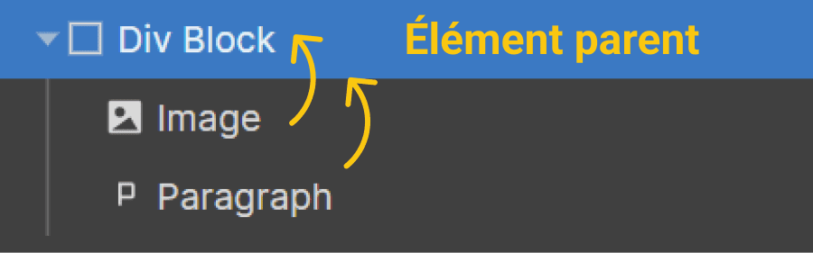 élément parent dans la hiérarchie Webflow