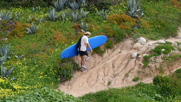 Person wearing a prosthetic leg and carrying a blue surfboard walking up a sandy path surrounded by green and yellow vegetation.