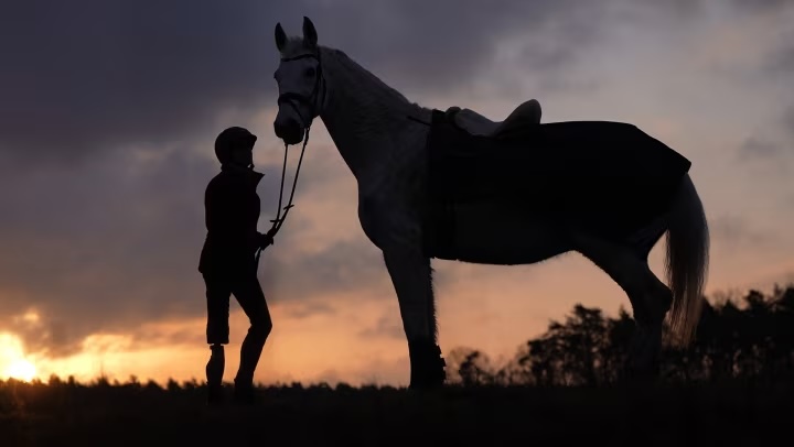 Silhouette of a person holding the reins of a saddled horse at sunset.