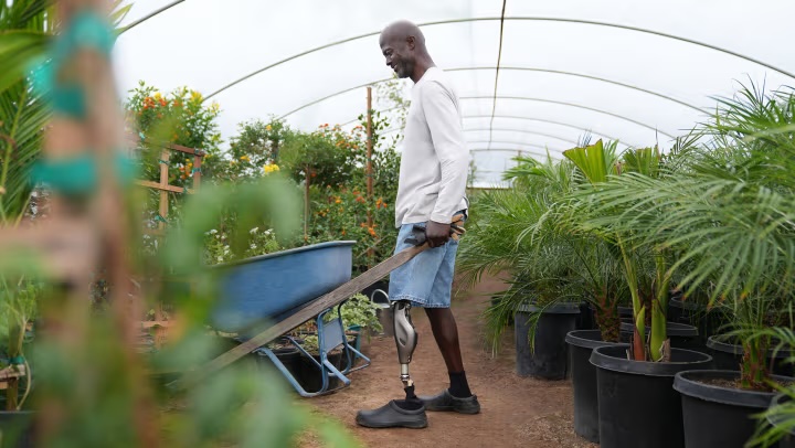 Smiling man with a prosthetic leg pushing a blue wheelbarrow in a greenhouse surrounded by green plants.