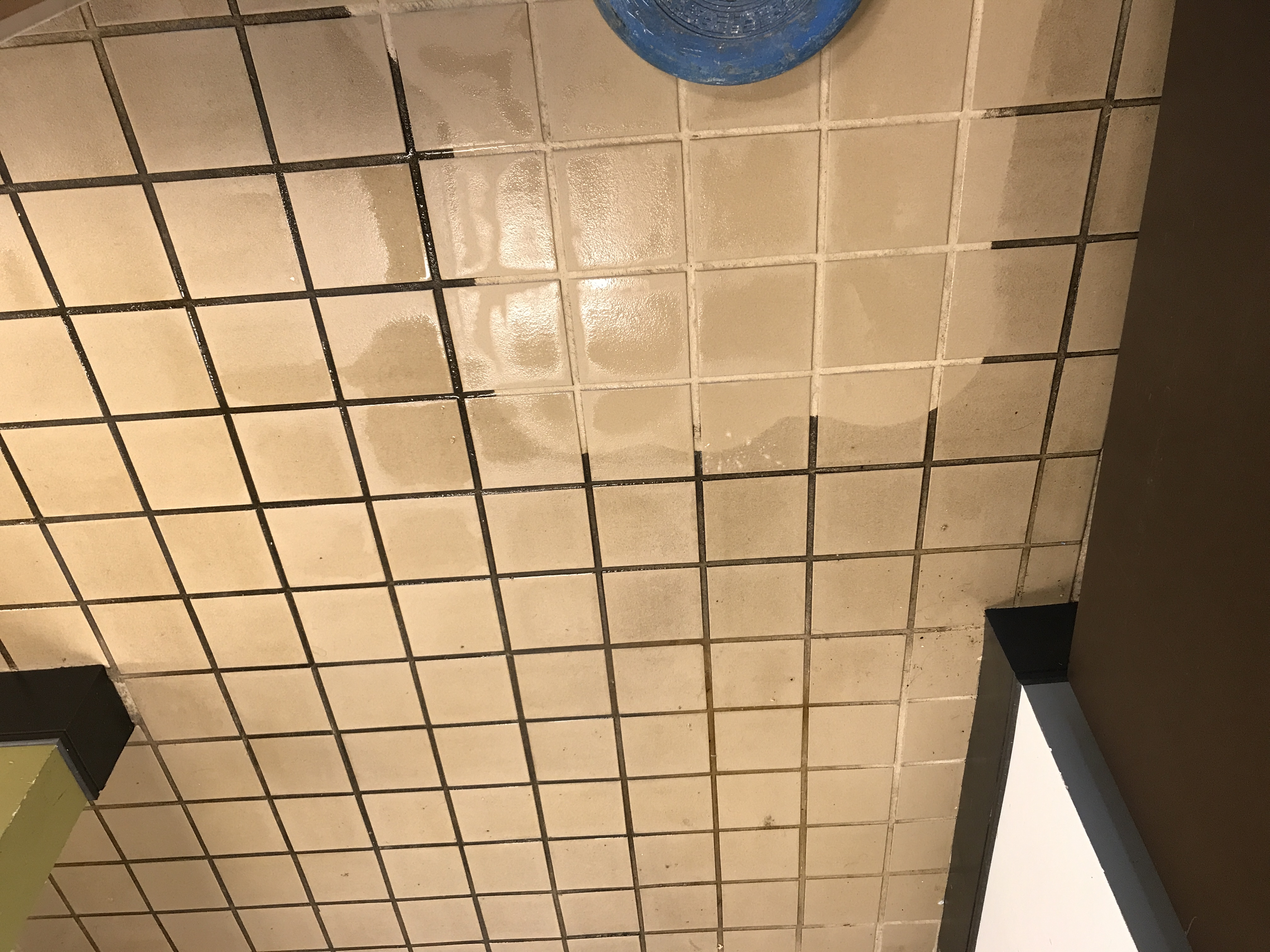 Professional Tile & Grout Cleaning in Orange Beach, AL
