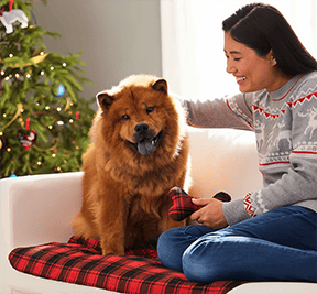 A more magical holiday guide for Pet Valu 