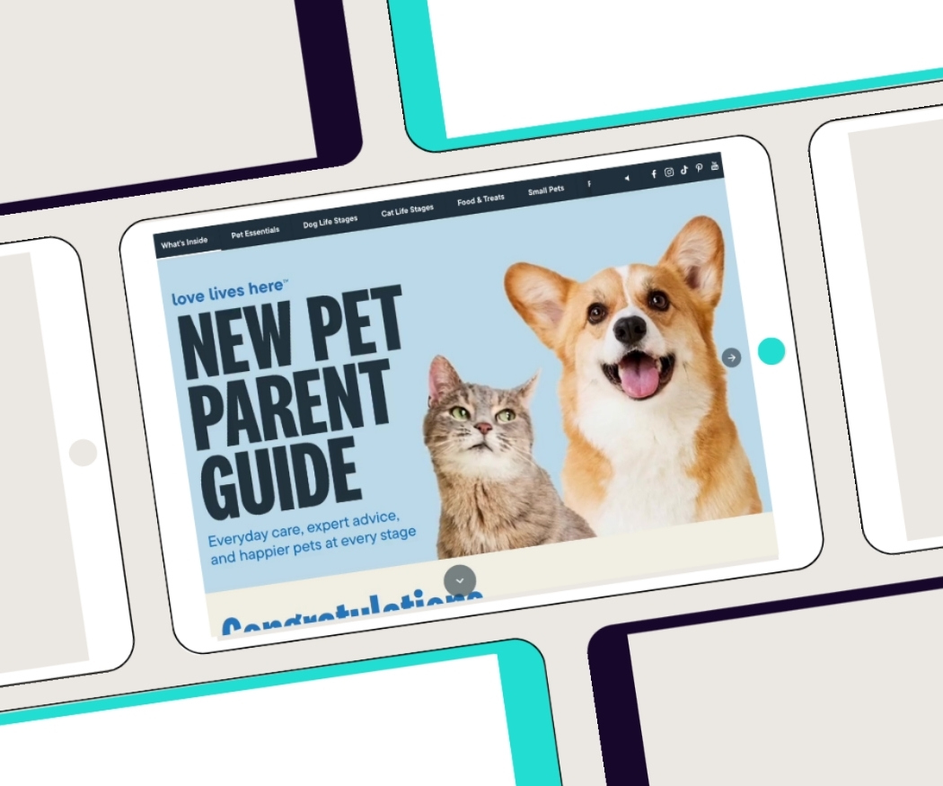 More than a Pet Store: Redefining Pet Valu’s Digital Guides