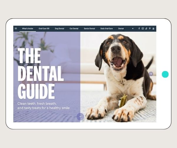 More than a Pet Store: Redefining Pet Valu’s Digital Guides