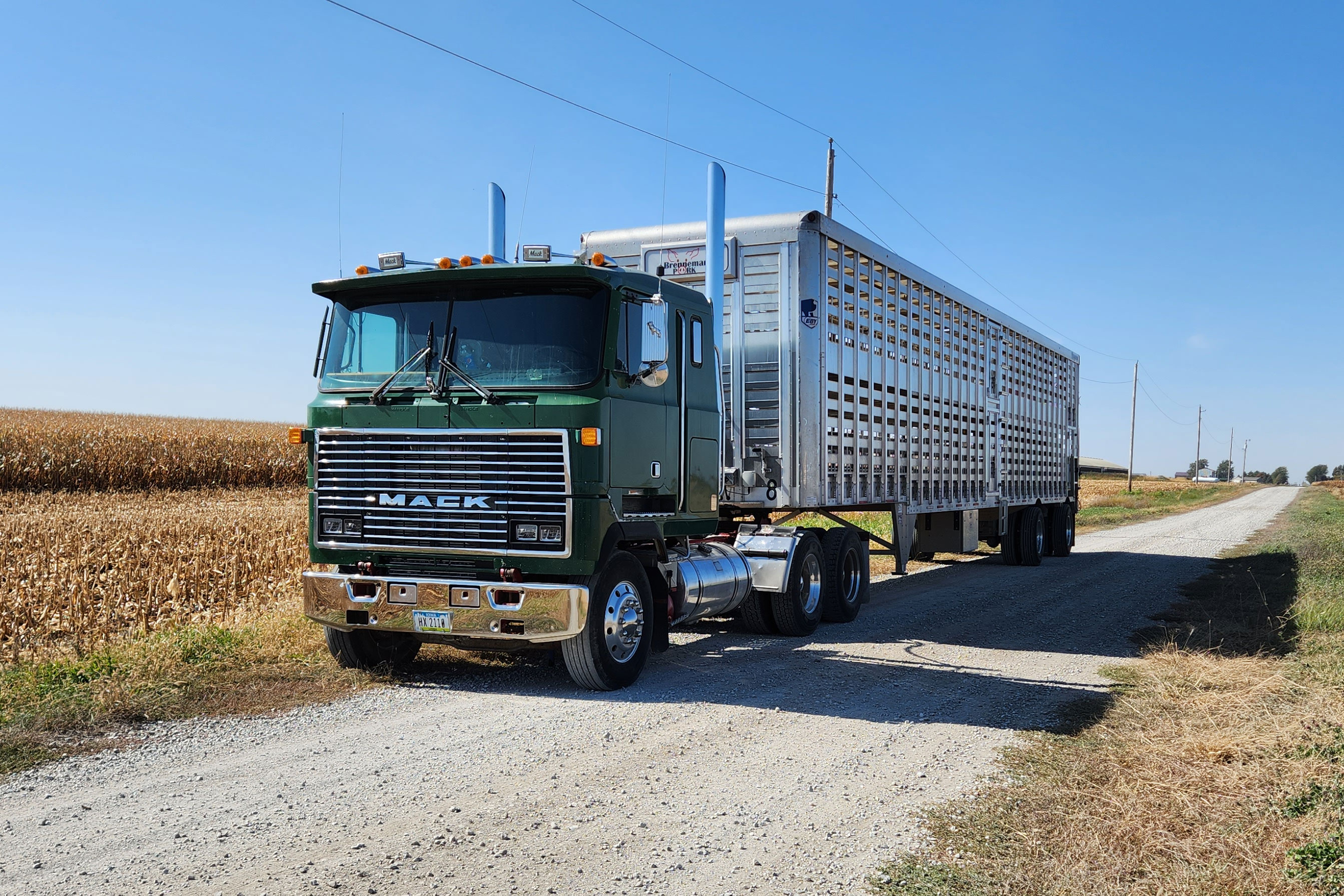 Eby Trans Pork Livestock Semi Trailer 
