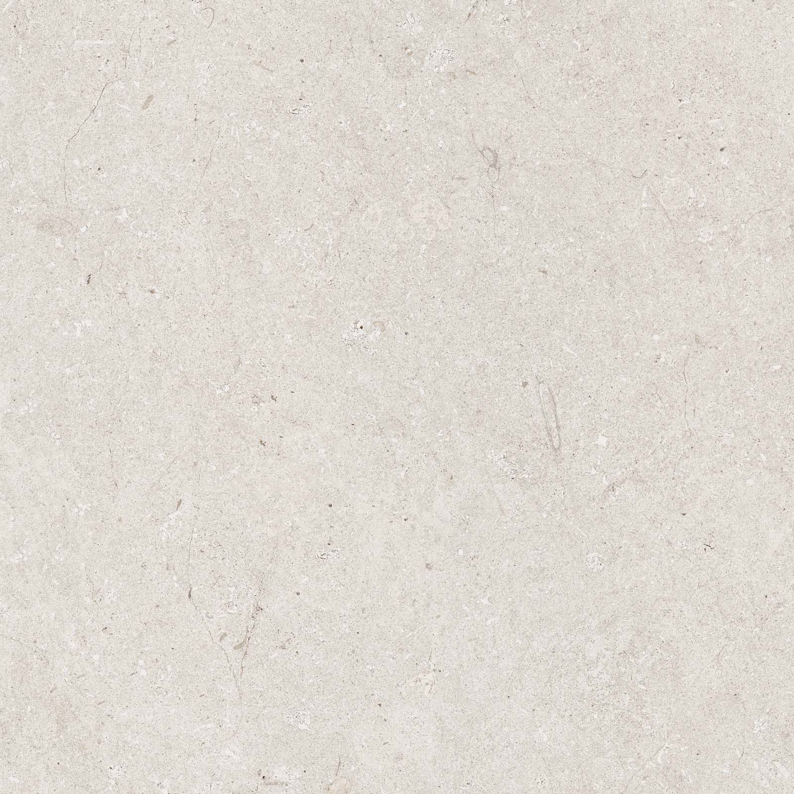 Trany Ivory