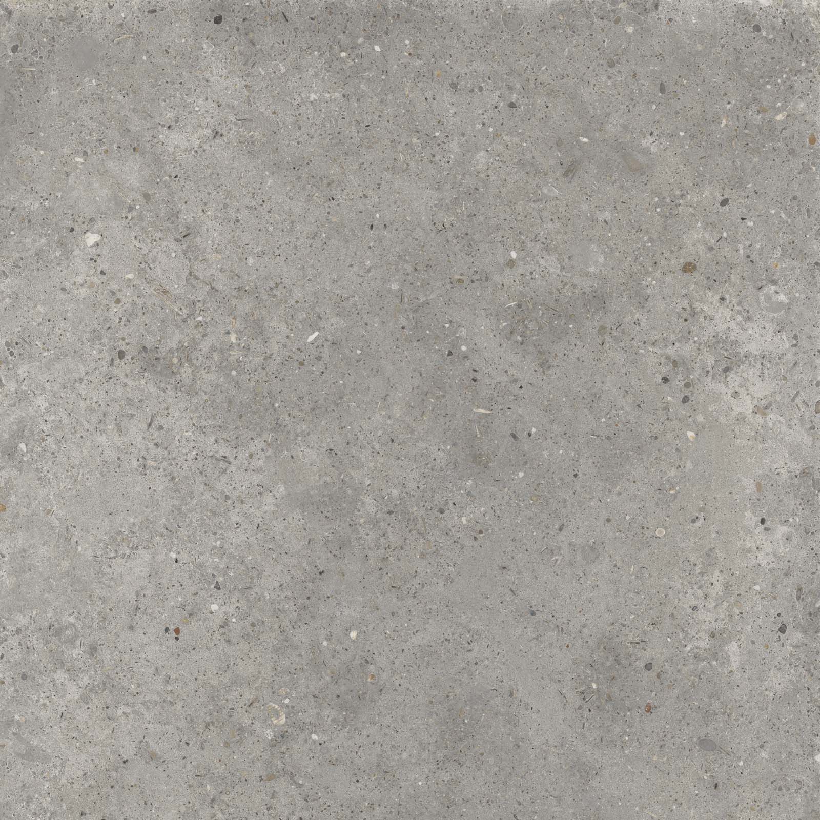 Pirenei Grey