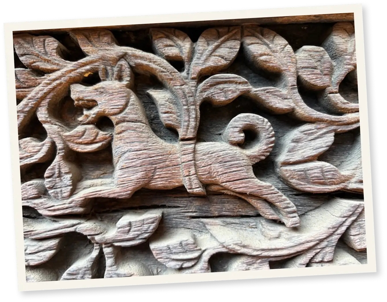 Wood carving of a dog with curled tail surrounded by leaves and vines.