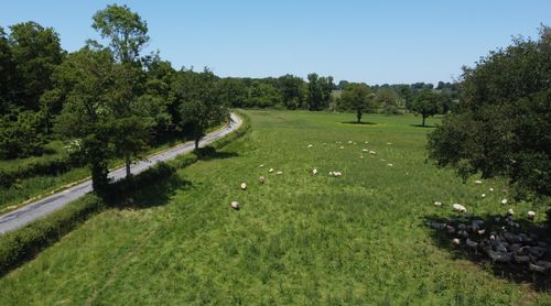 Les conventions de mise a disposition SAFER