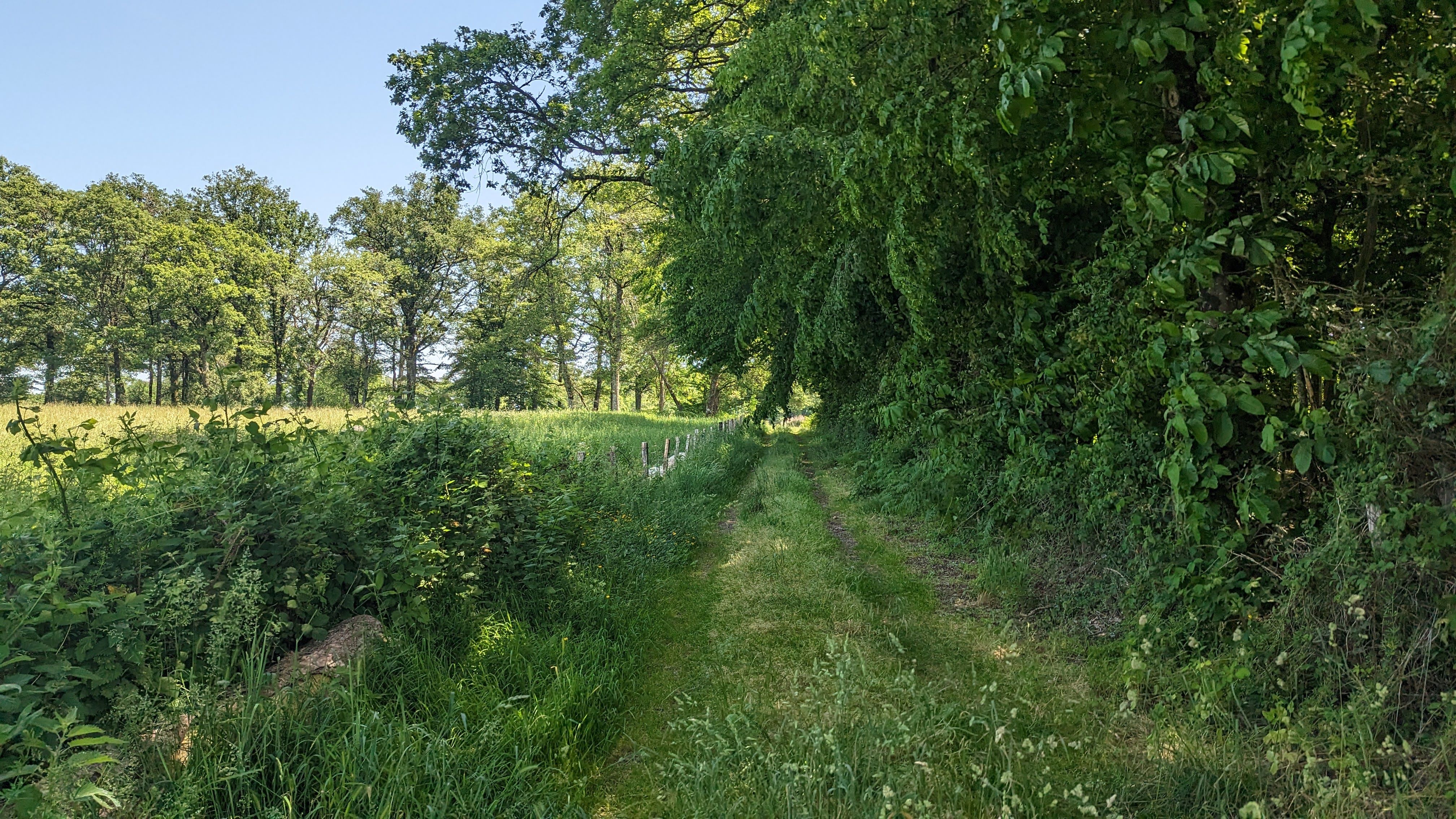 Chemins en milieu rural : comment les distinguer et éviter les problèmes ?