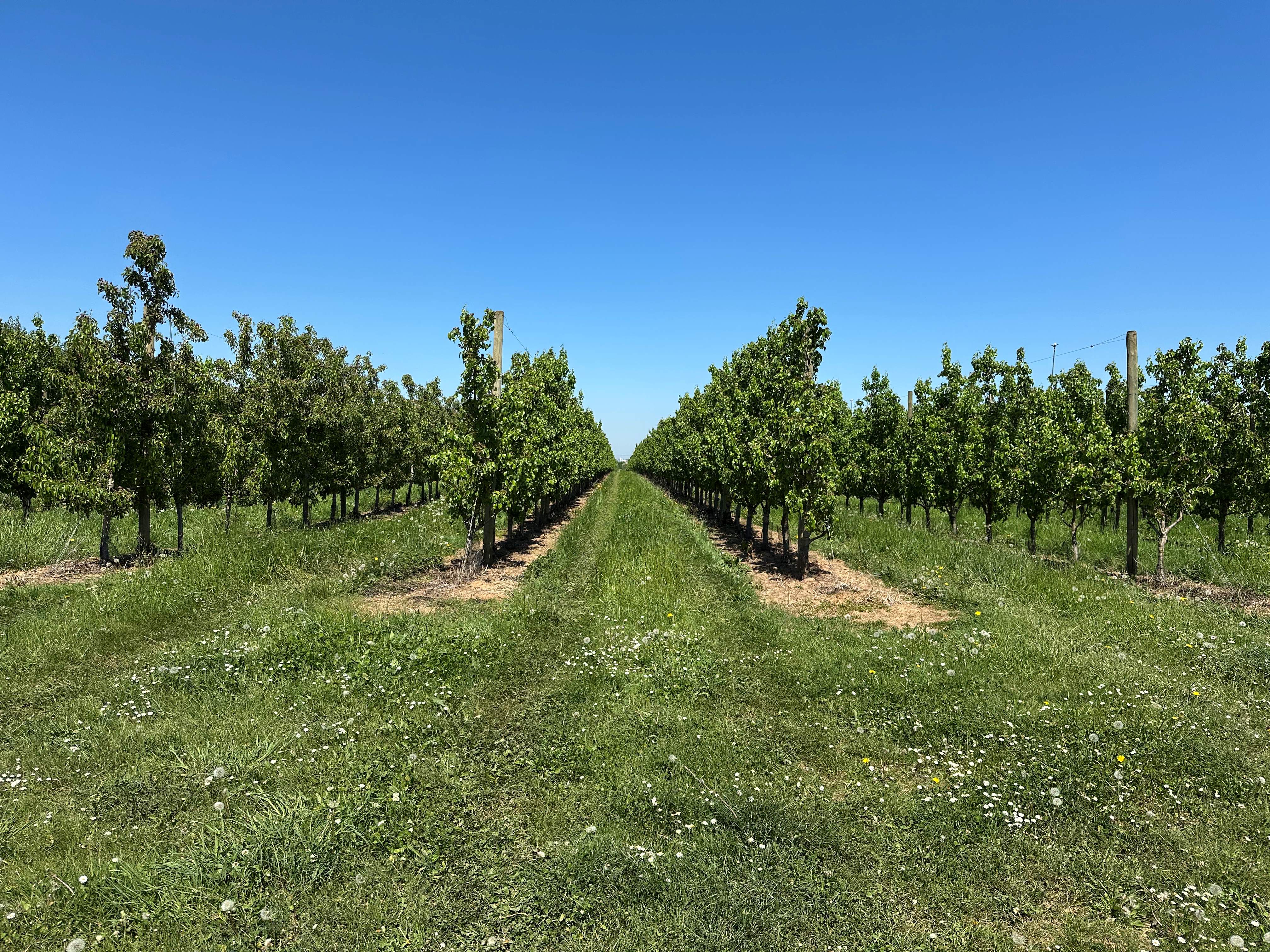 Contester une préemption SAFER : comment faire ?