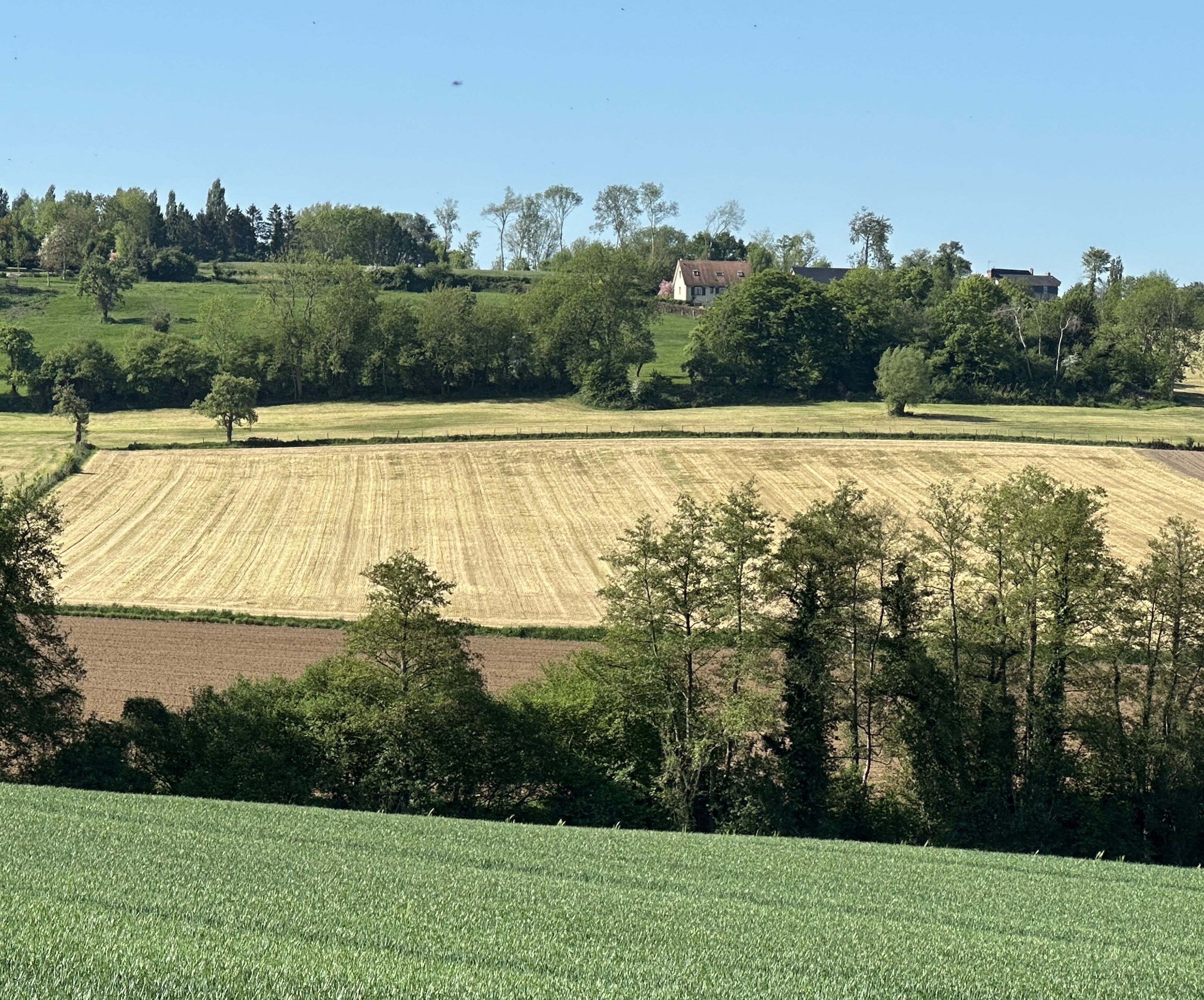 Le tribunal paritaire des baux ruraux, comprendre le contentieux autour du bail rural