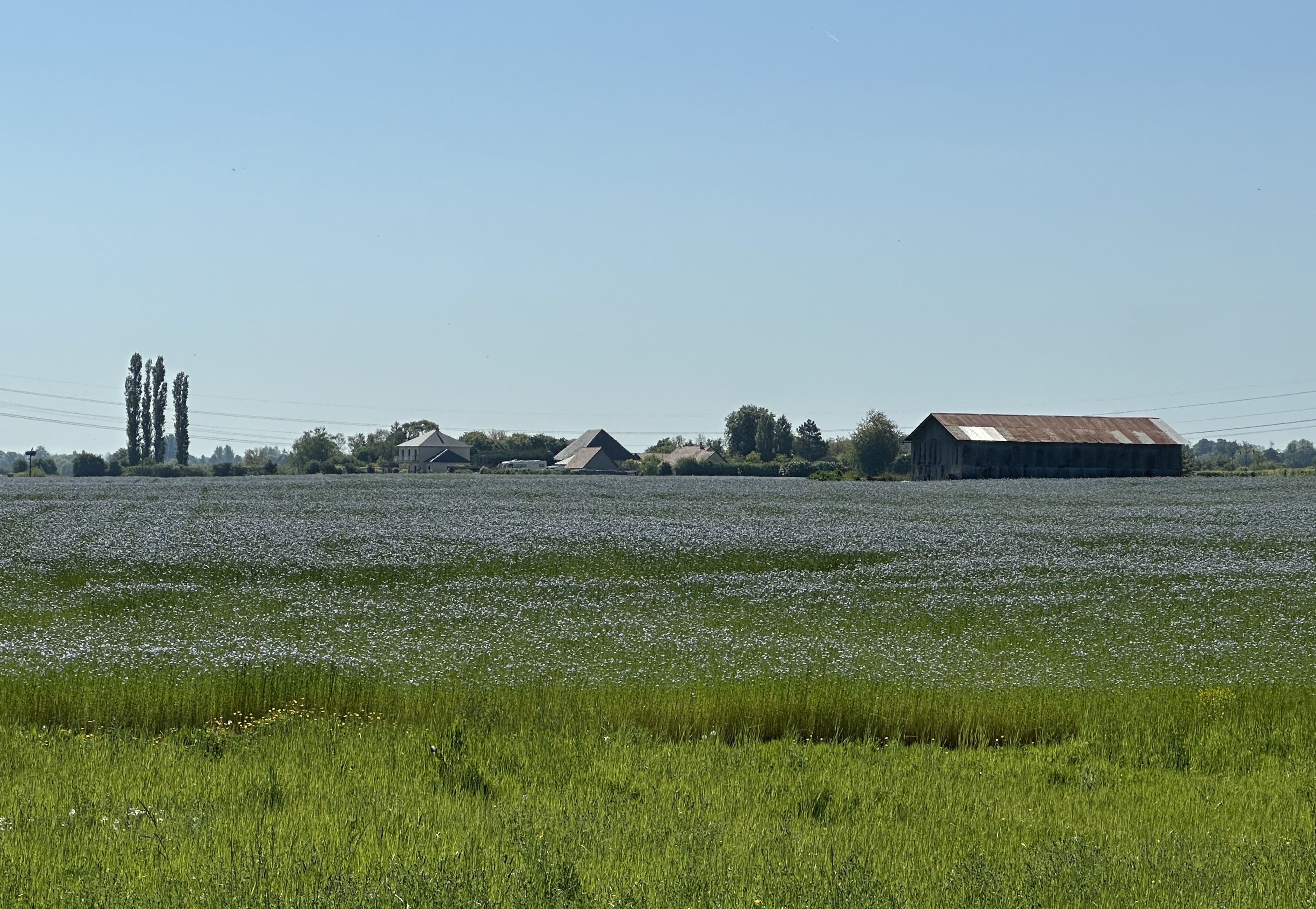 Sécurisez votre entreprise agricole dès sa création