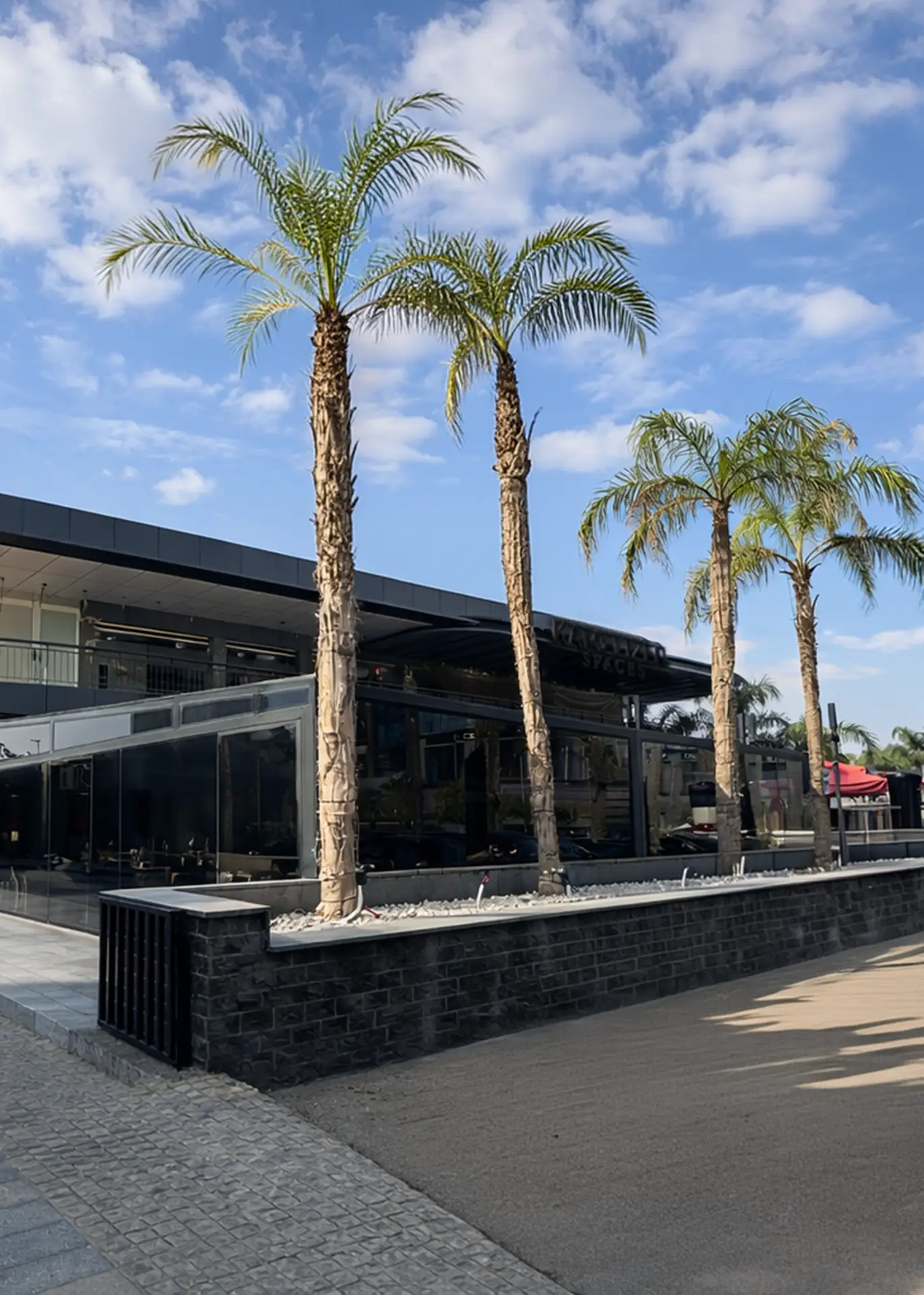 Kamelizer Spaces District 5 New Cairo reception area – premium coworking and office space with modern design and branding.