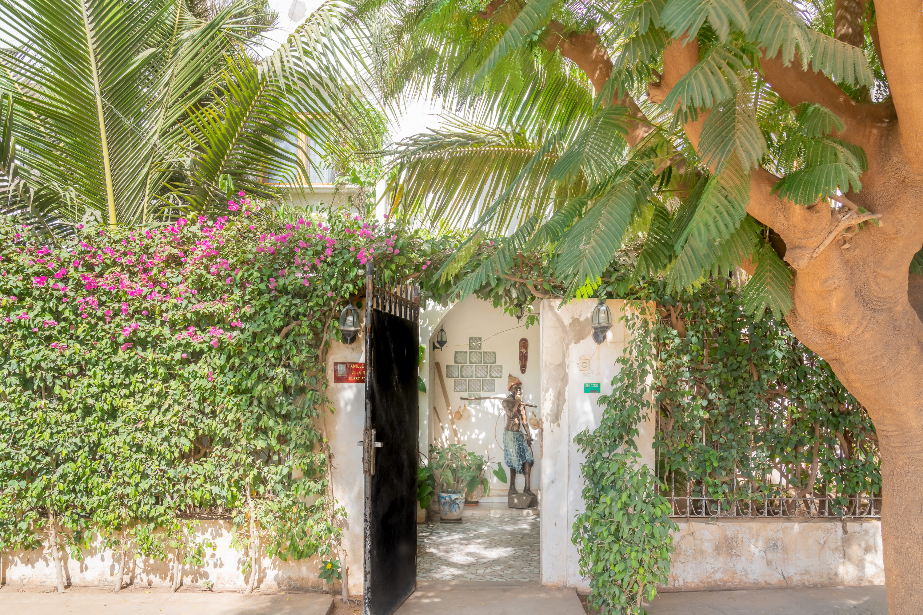 photo du portail de la maison et des végétaux