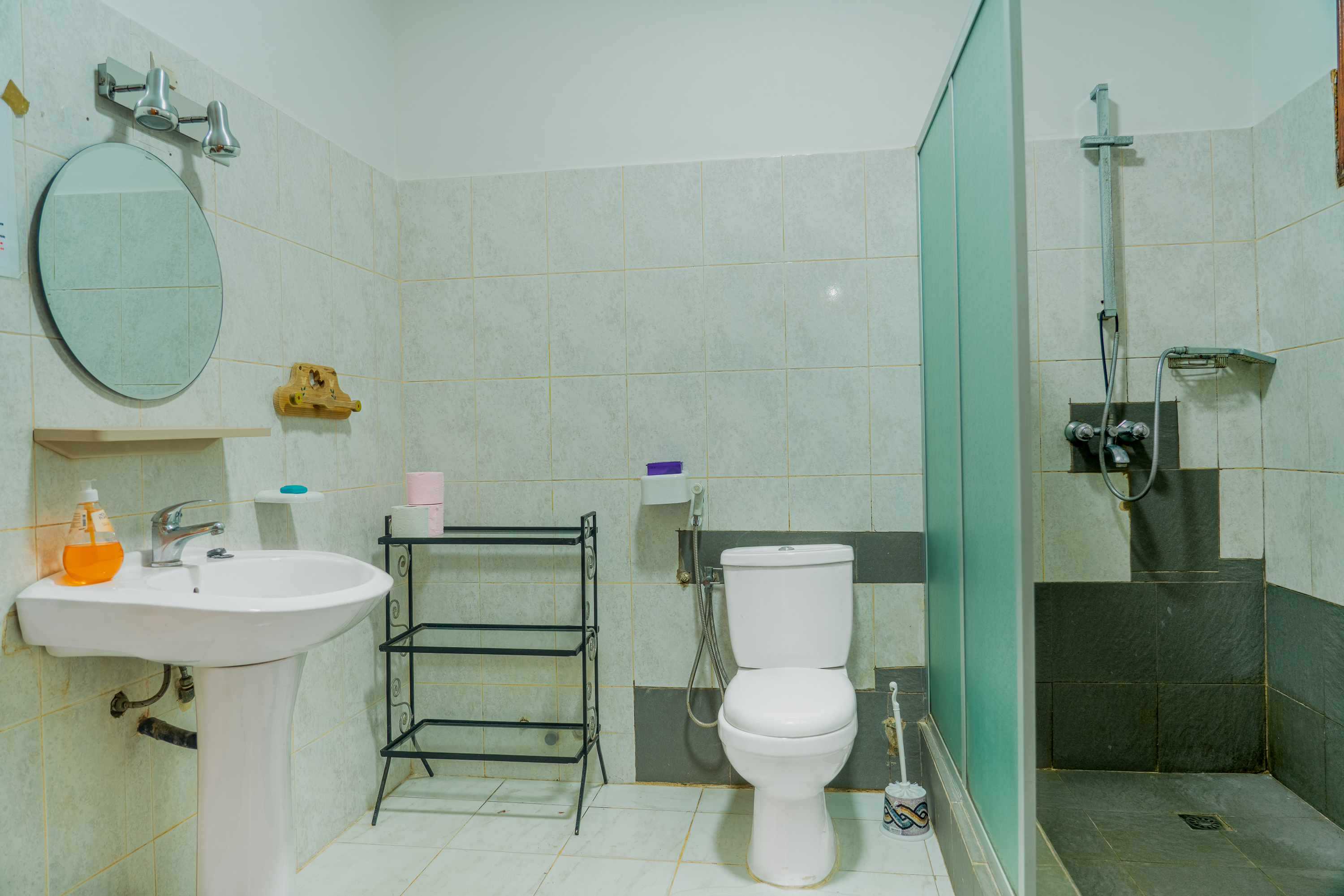 salle de bain de couleur vert avec une souche un lavabo et des toilettes
