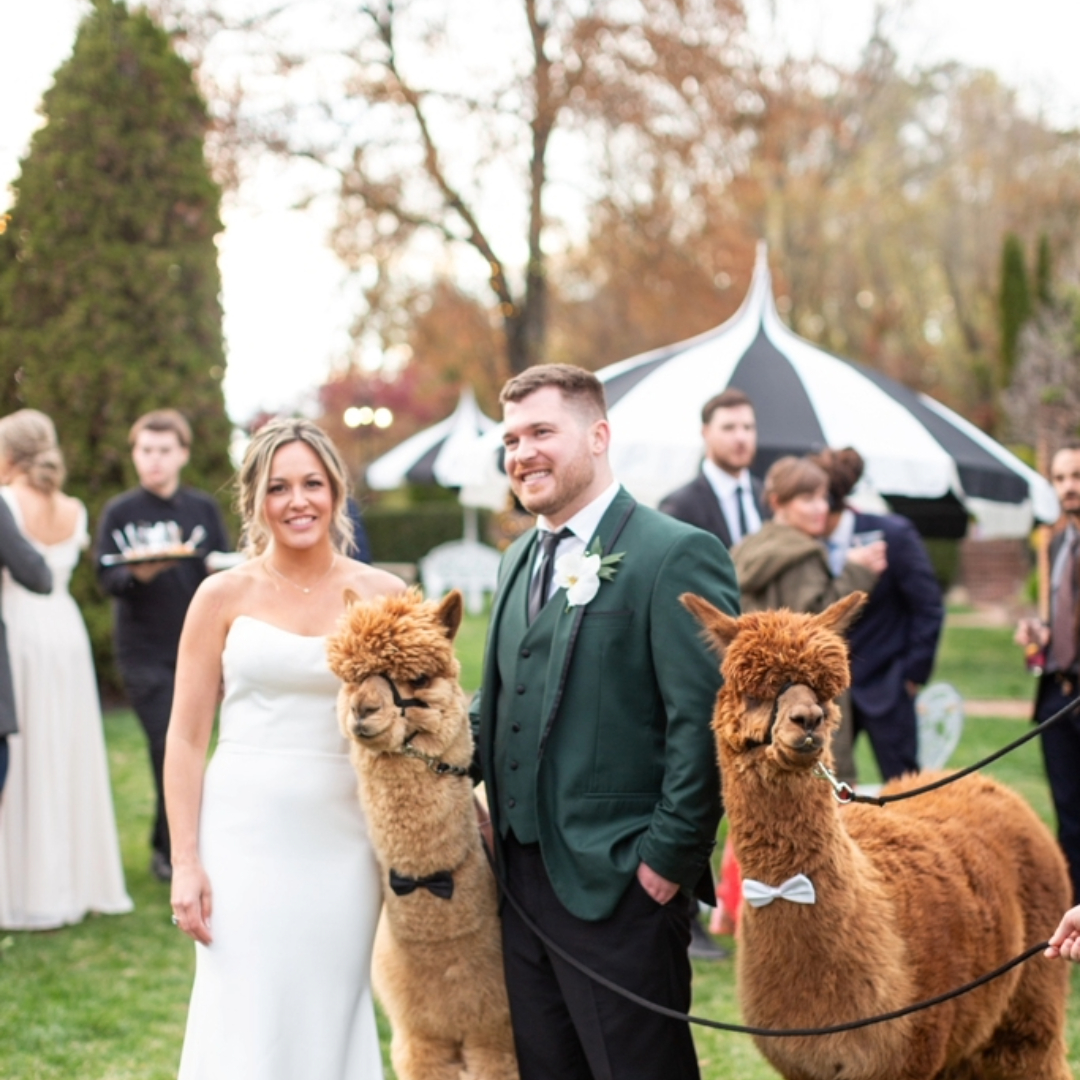 Bride and her bridesmaids