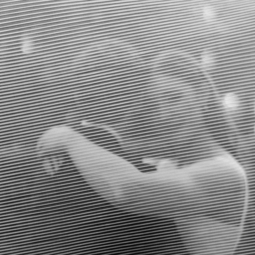 Bride and her bridesmaids