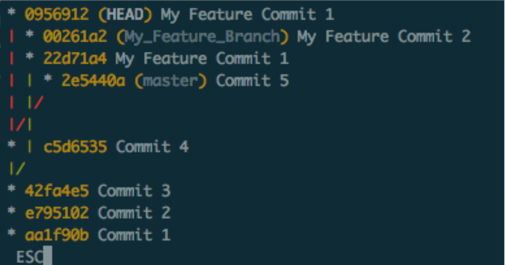 git log after rebase