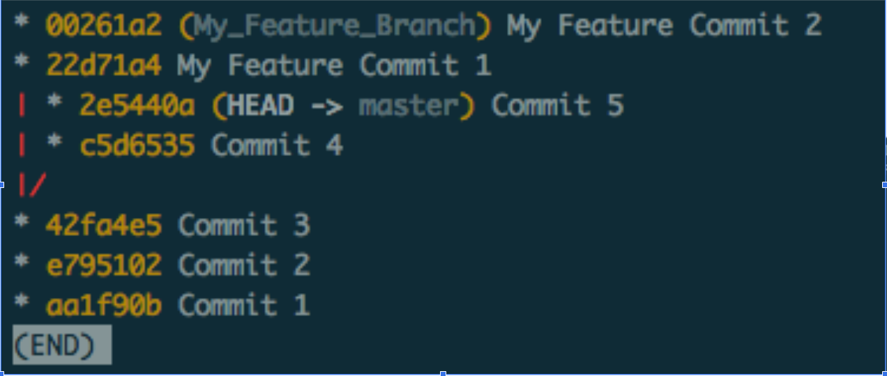 git log before rebase