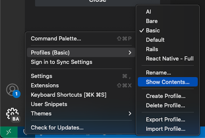 screenshot of how to find vscode profile contents