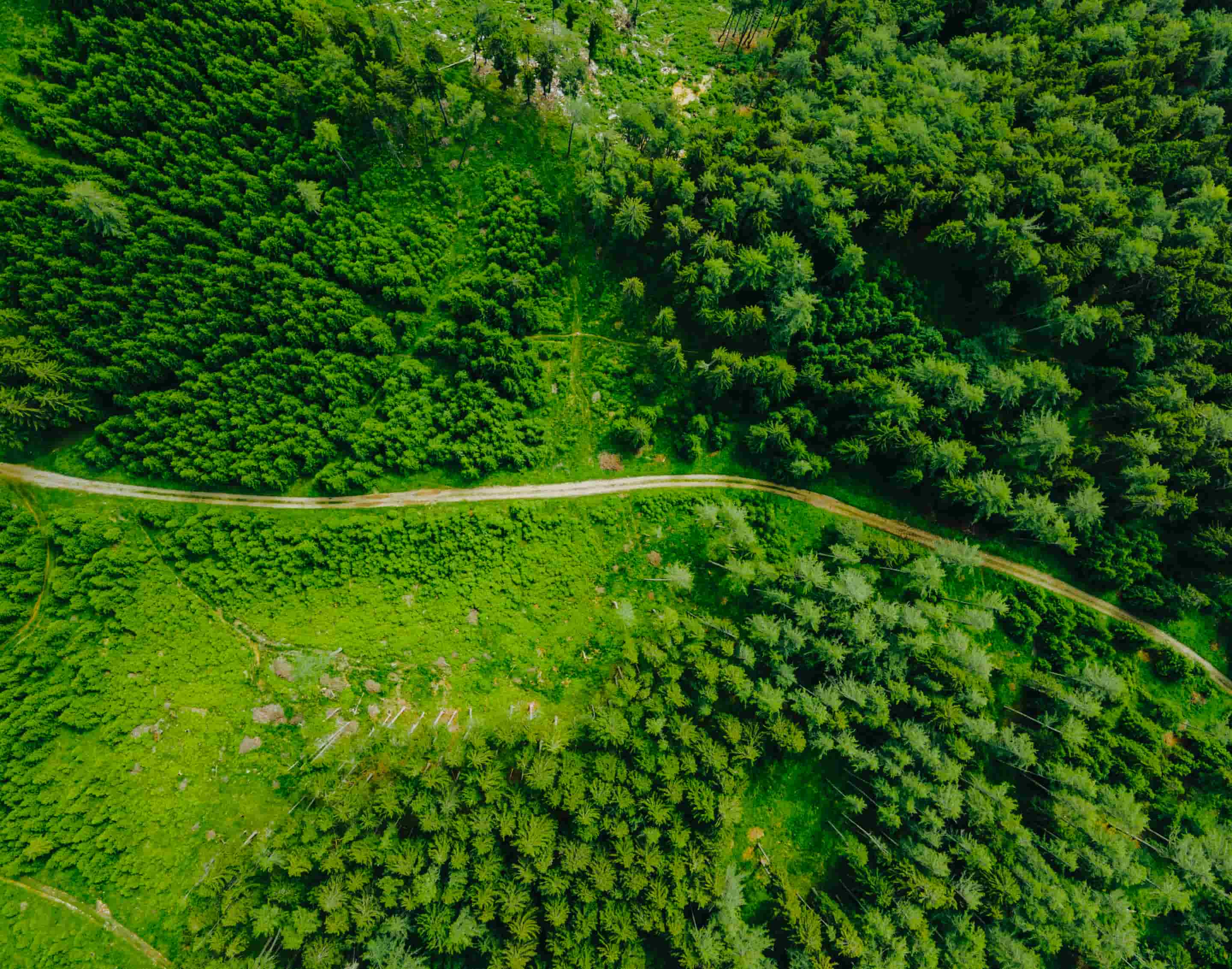 Donations - Donate X Webflow Template