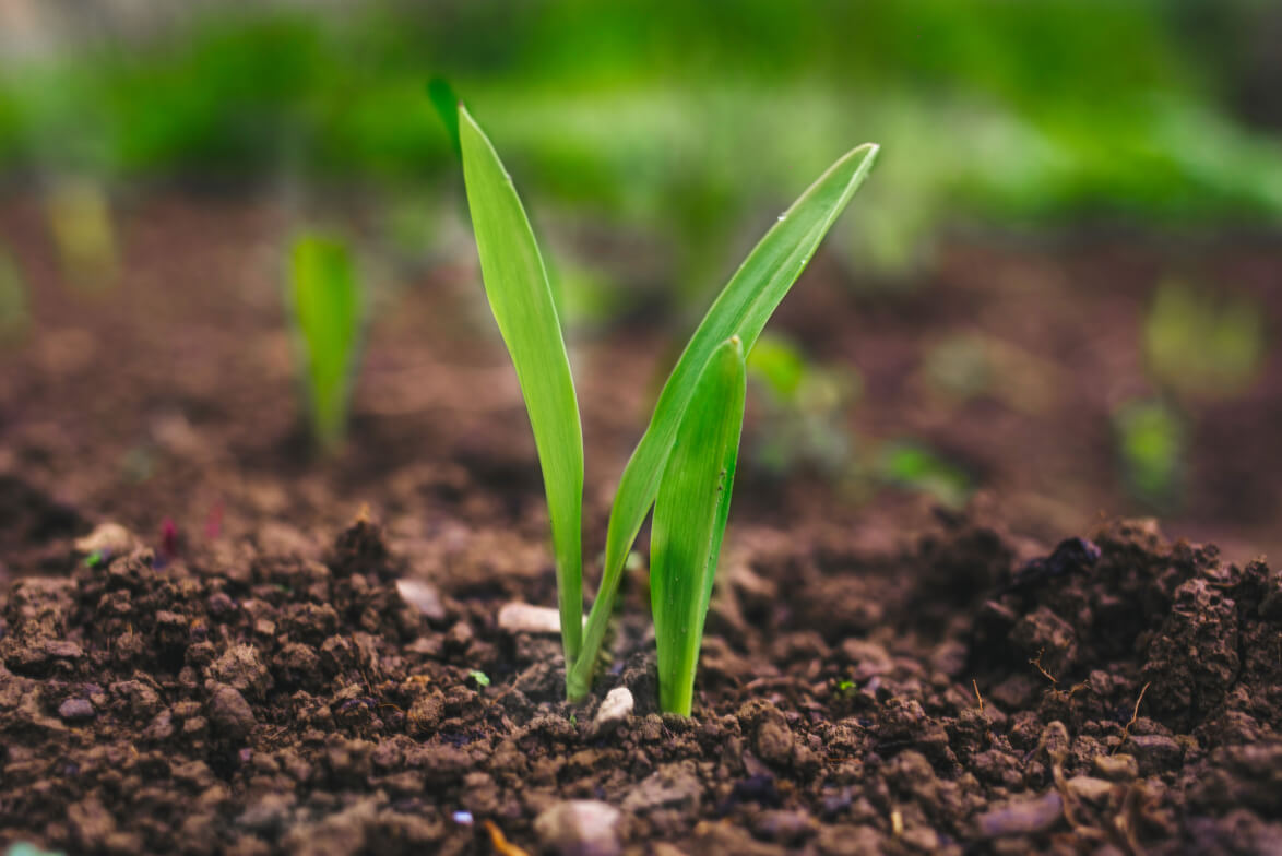 About Us - Donate X Webflow Template