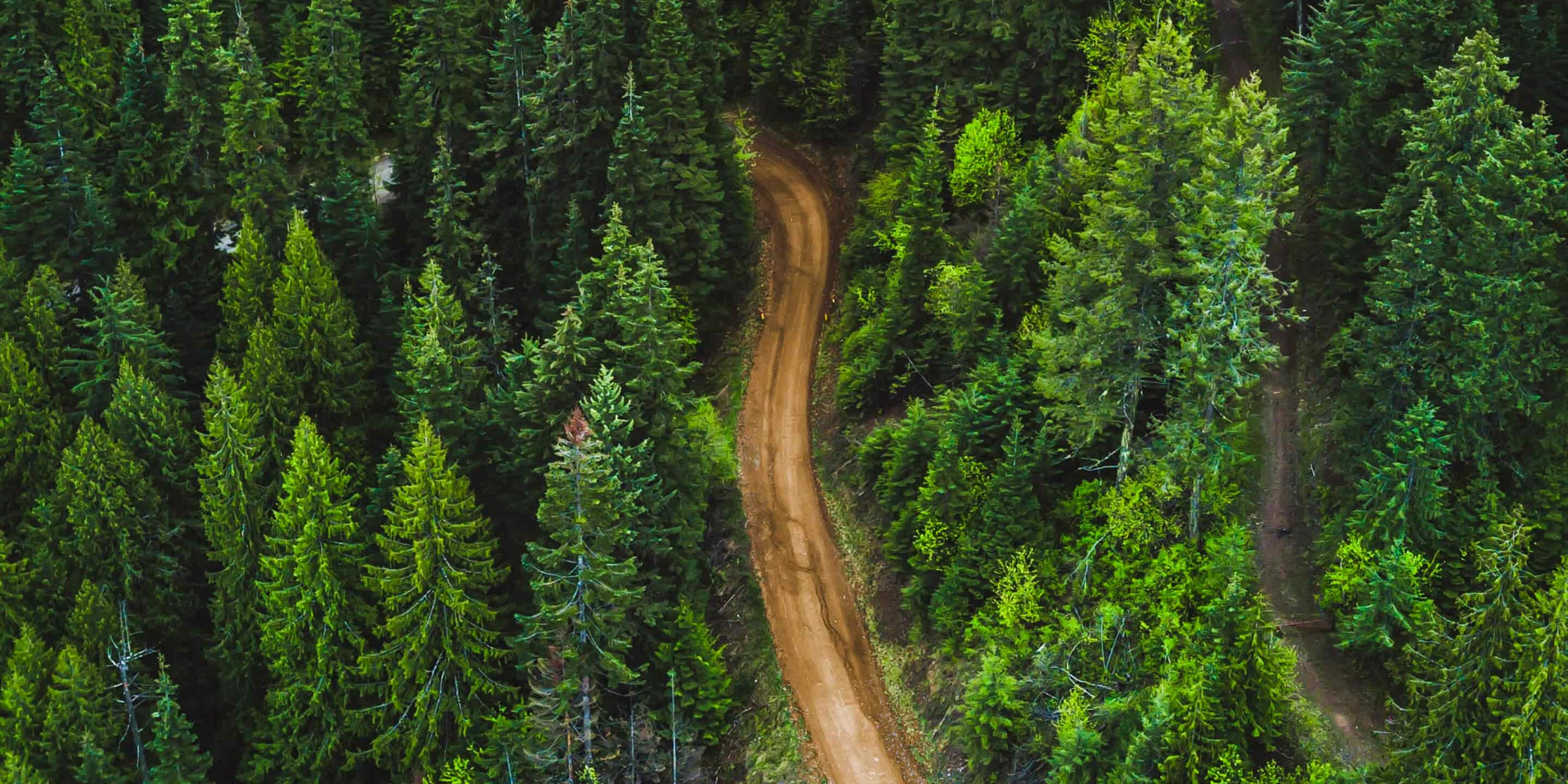 Donate Image - Donate X Webflow Template