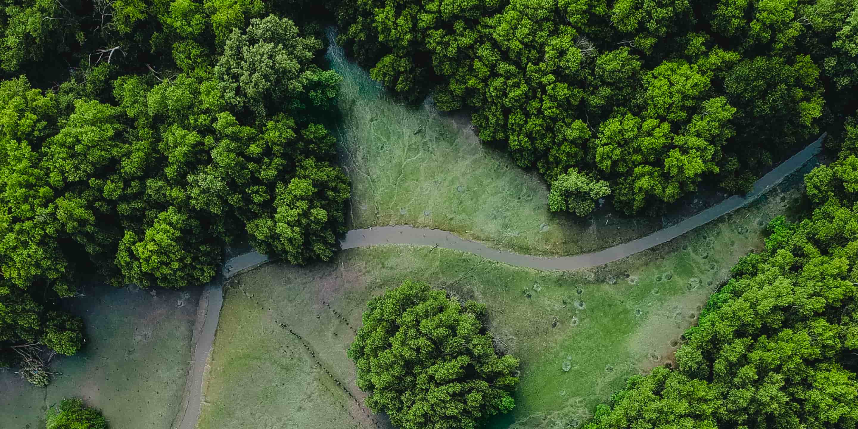 Contact Us - Donate X Webflow Template