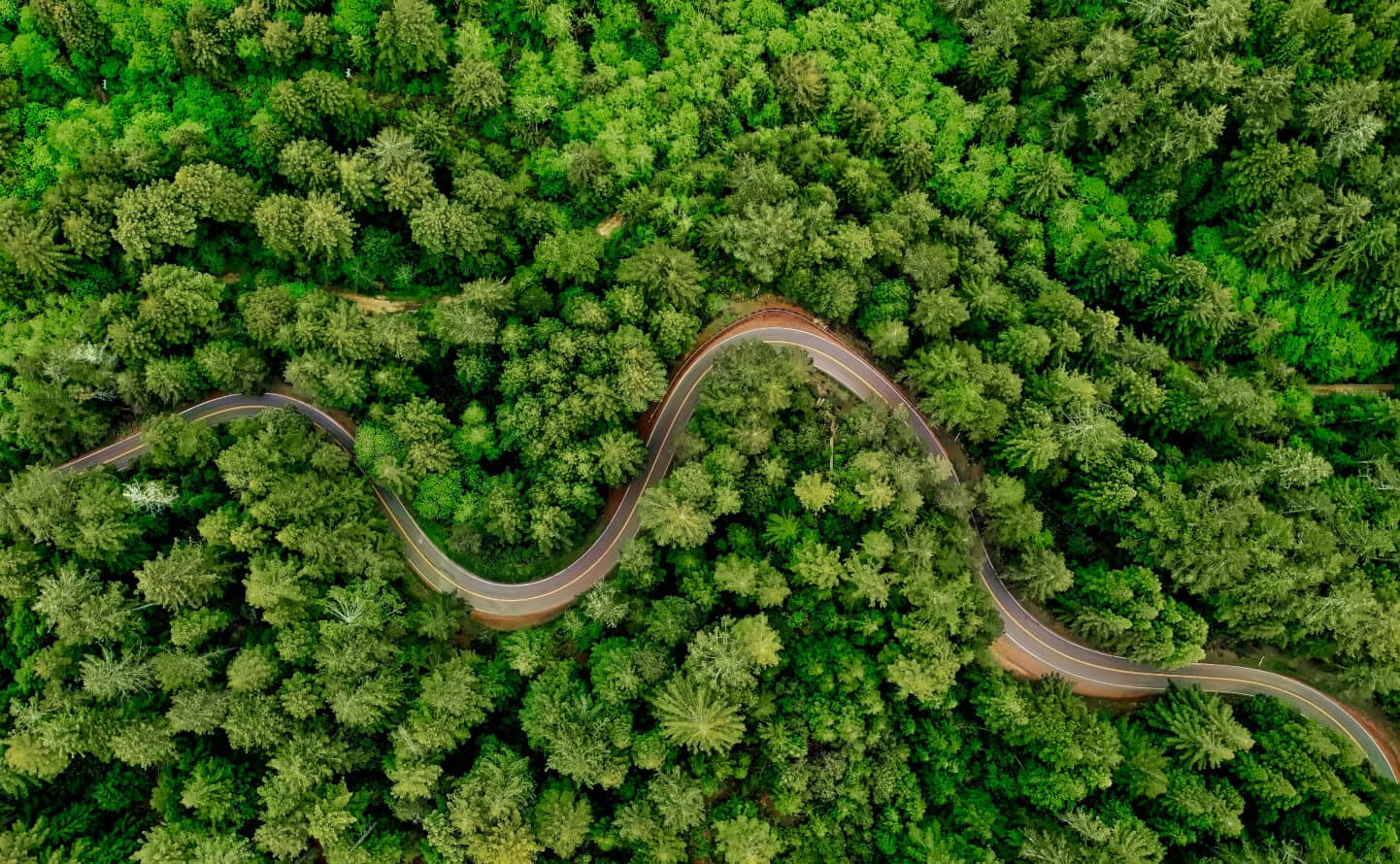 Rich Text - Donate X Webflow Template