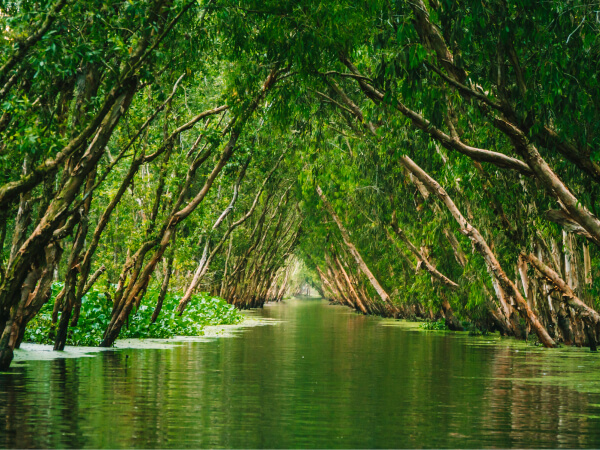 License - Donate X Webflow Template