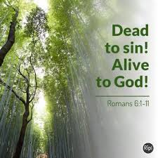 Romans 6: 1-11