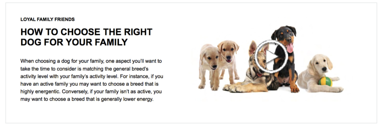 Premium A+ Content Modules