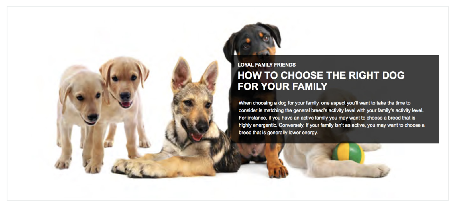 Premium A+ Content Modules