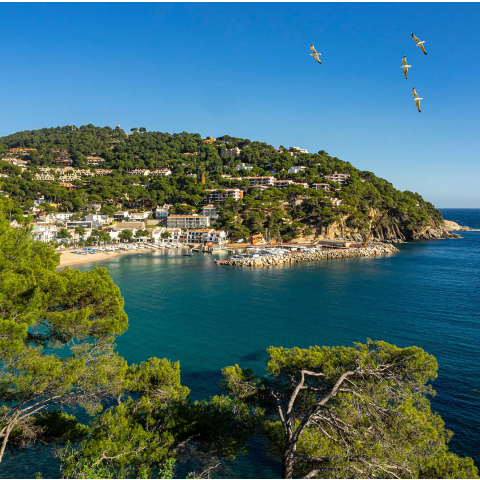 Coastal town with green hillside, buildings near the shore, blue sea, and four seagulls flying in a clear sky.