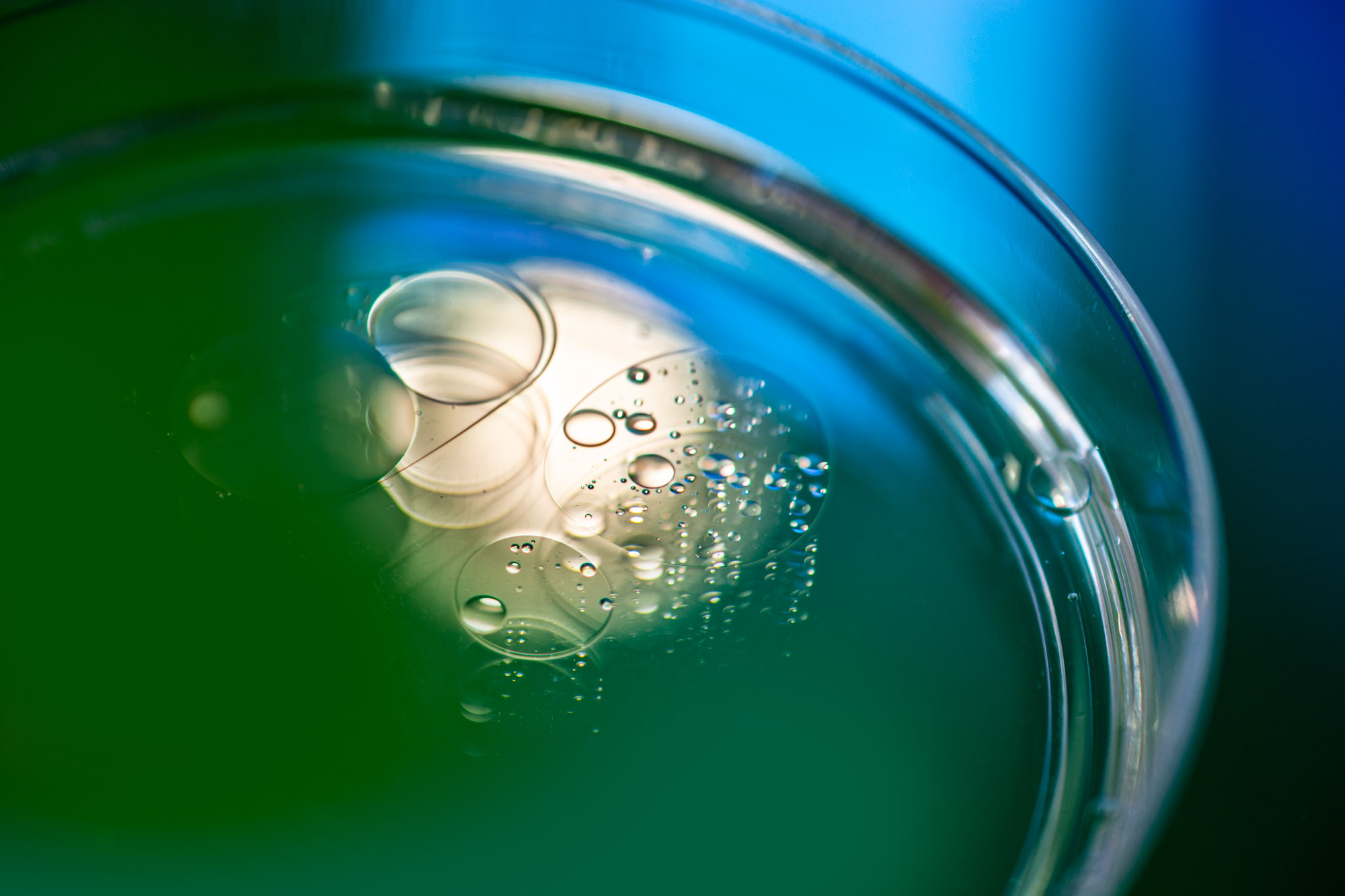 Lanolin – Kozmetikai alkalmazás bőrápoló és tisztító termékekben