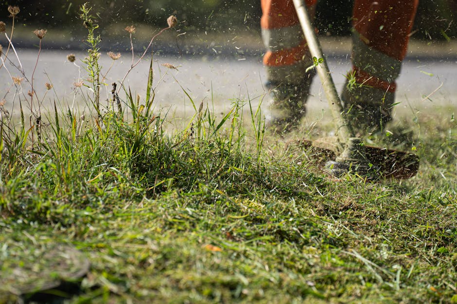 Lawn mowing with grass clippings flying during yard maintenance