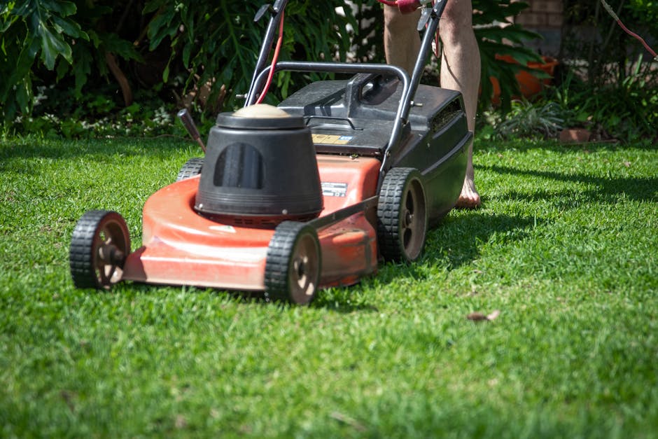 Red lawn mower cutting grass in a green backyard