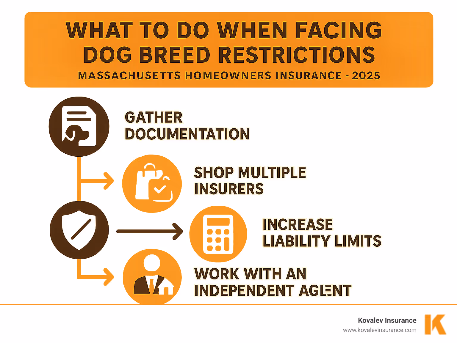 Infographic showing the steps to take when facing dog breed restrictions: 1) Gather documentation, 2) Shop multiple insurers, 3) Consider exclusions, 4) Increase liability limits, 5) Work with an independent agent - massachusetts homeowners insurance dog list infographic 