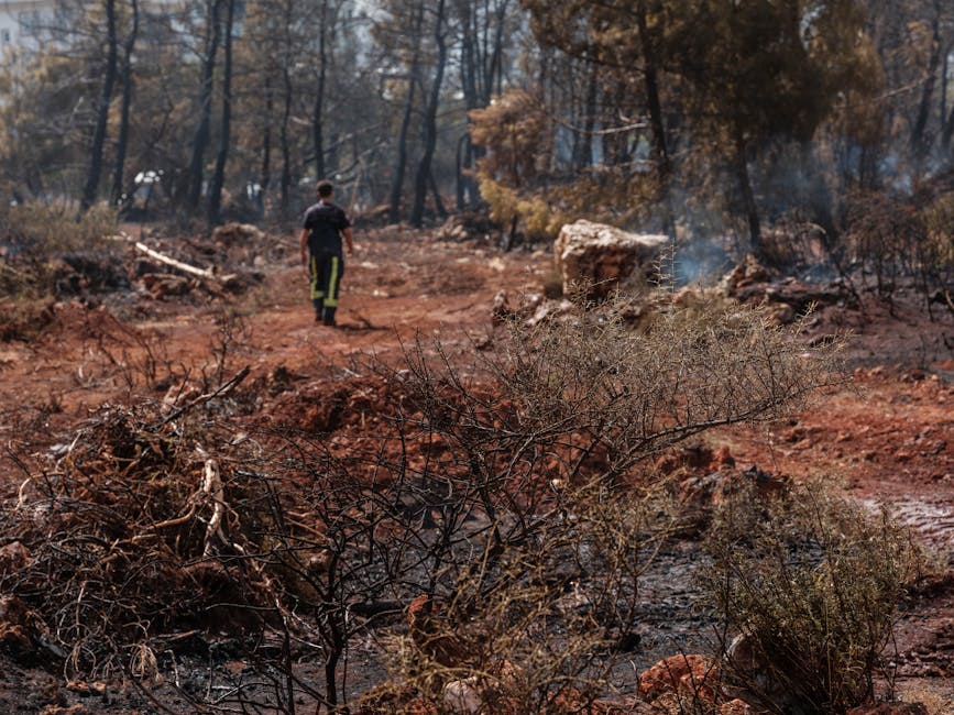 wildfire damage to homes - fair plan