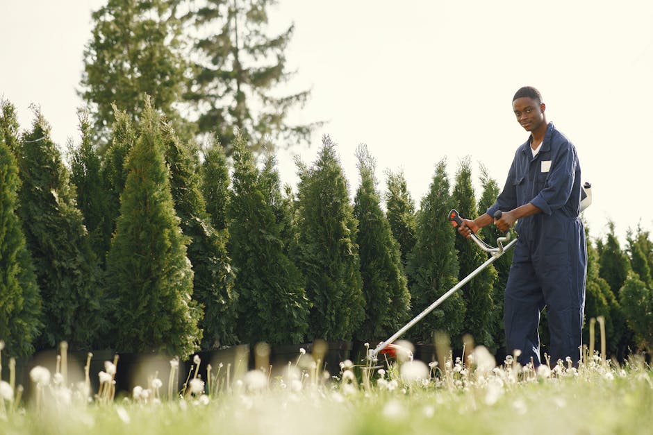 worker safely operating hedge trimmer - best insurance for lawn care business worker safely operating hedge trimmer - best insurance for lawn care business
