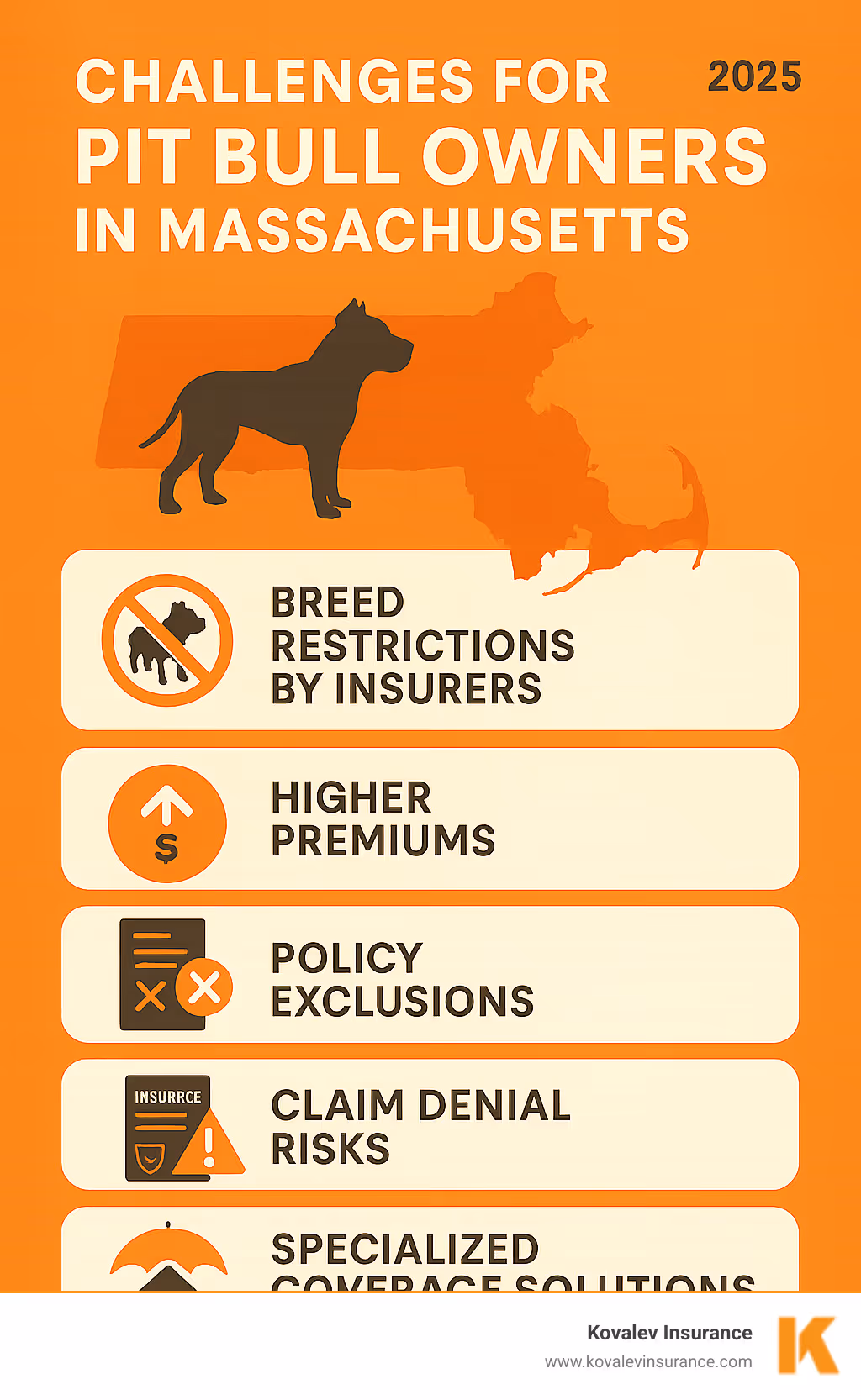 Infographic showing the main challenges pitbull owners face: breed restrictions by insurers, higher premiums, policy exclusions, claim denial risks, and the need for specialized coverage solutions in Massachusetts - homeowners insurance for pitbull owners infographic 