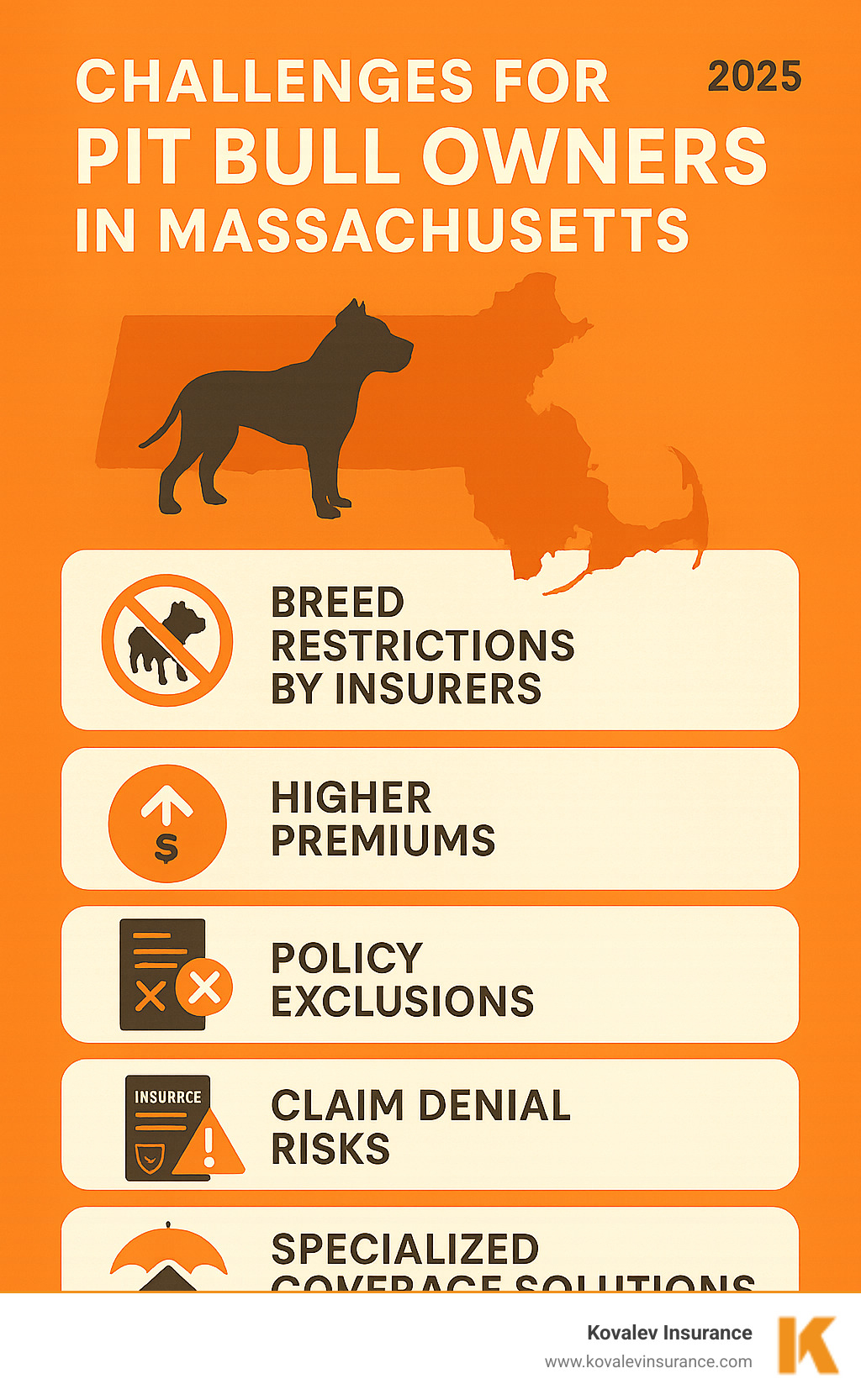 Infographic showing the main challenges pitbull owners face: breed restrictions by insurers, higher premiums, policy exclusions, claim denial risks, and the need for specialized coverage solutions in Massachusetts - homeowners insurance for pitbull owners infographic 